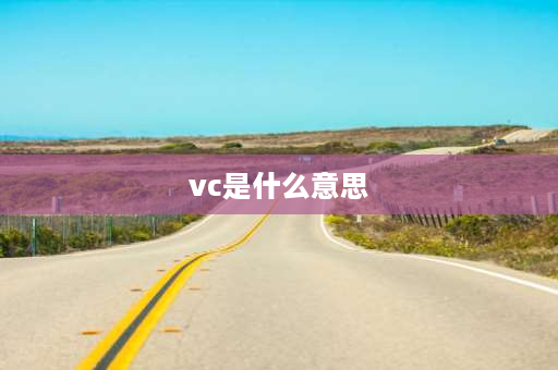 vc是什么意思 VC的意思？