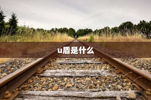 u盾是什么 u盾卡是什么？