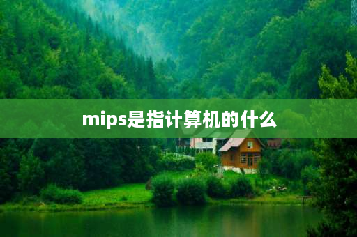 mips是指计算机的什么 计算机中MIPS表示什么？