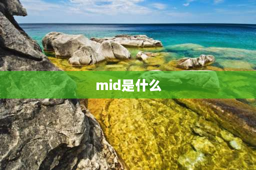 mid是什么 mid字符位置指什么？