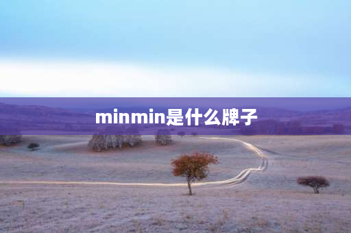 minmin是什么牌子 minpeace是什么牌子？