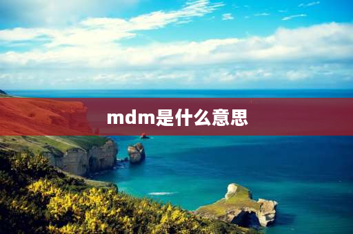 mdm是什么意思 mdm码是什么意思？