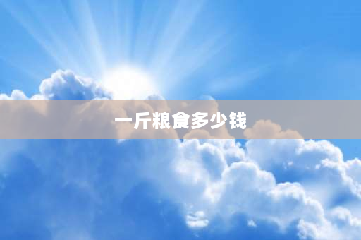 一斤粮食多少钱 94年大米多少钱一斤？