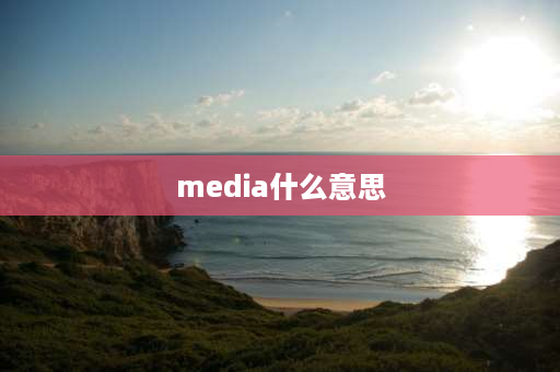 media什么意思 media有手段的意思吗？