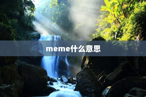 meme什么意思 一个熊一个雪花啥意思？