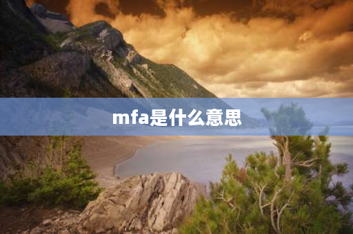 mfa是什么意思 请问MFABC4这是干粉灭火器的型号，每个字母代表什么意思？