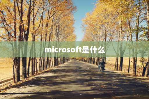 microsoft是什么 电脑的office是什么？