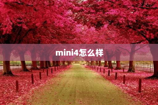 mini4怎么样 2022年mini4还好用吗？