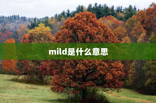 mild是什么意思 mild可以形容人吗？