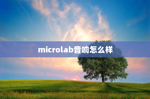 microlab音响怎么样 国产音响排名前十名品牌排行榜？