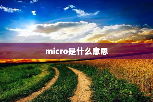 micro是什么意思 micro mini区别？