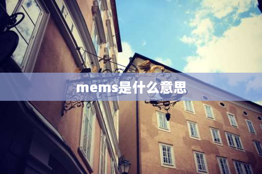 mems是什么意思 微固是什么意思？