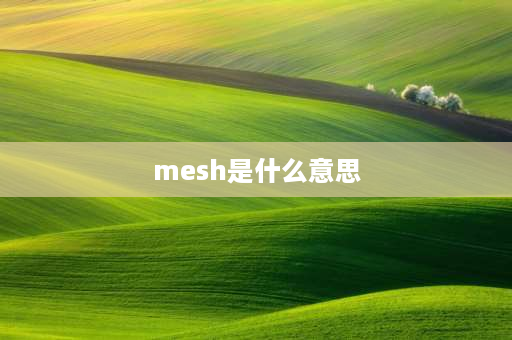 mesh是什么意思 什么是有线mesh？