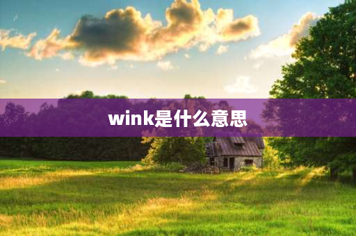 wink是什么意思 单眼眨眼叫什么？