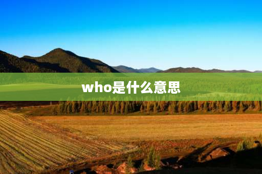 who是什么意思 Who是什么意思？