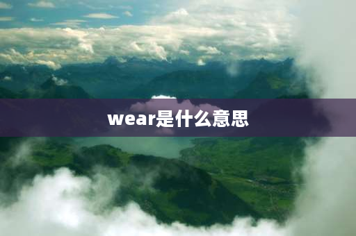 wear是什么意思 work和wear是同类词吗？