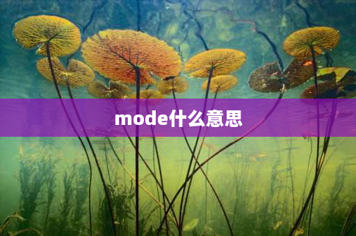 mode什么意思 Mode是什么意思？