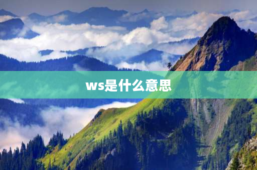 ws是什么意思 ws是什么意思？