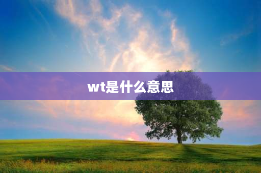 wt是什么意思 SO、WO、ST、WT分别指什么？