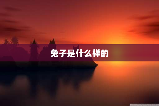 兔子是什么样的 小白兔的外形特征、生活习性？