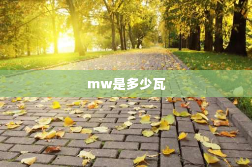 mw是多少瓦 1MW等于多少瓦？