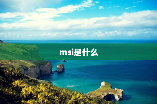 msi是什么 Msi是什么？