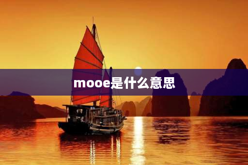 mooe是什么意思 尼康单反相机MOOE是什么？