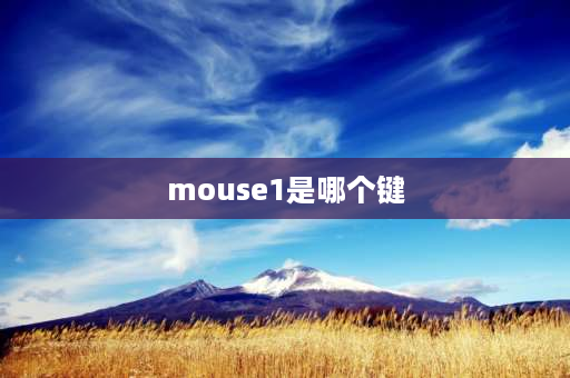 mouse1是哪个键 键盘MOUSE是哪个键？