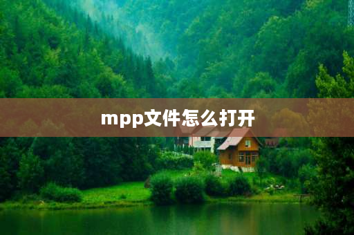 mpp文件怎么打开 装了Project了但双击还是打不开Mpp文件？