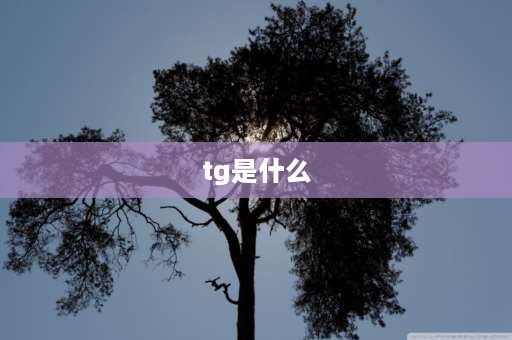 tg是什么 pvc加增塑剂会干低Tg，Tg指的是什么？