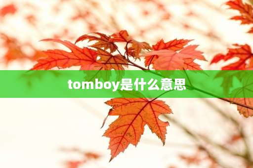 tomboy是什么意思 tom boy中文是什么意思？