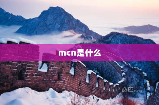 mcn是什么 mcn机构是什么意思通俗点来解释下？