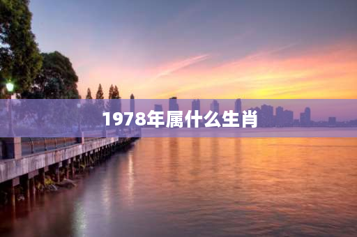 1978年属什么生肖 1978年是什么年干支？