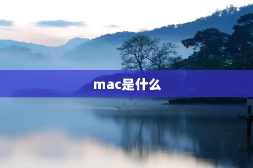 mac是什么 MAC是什么？