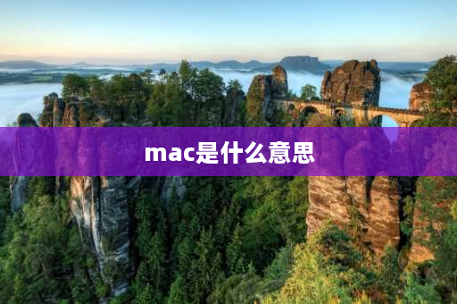 mac是什么意思 MAC是指？