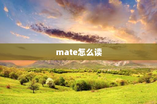 mate怎么读 mate50pro正确读法？