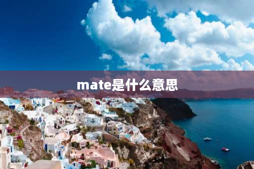 mate是什么意思 mate的中文是荣耀的意思吗？