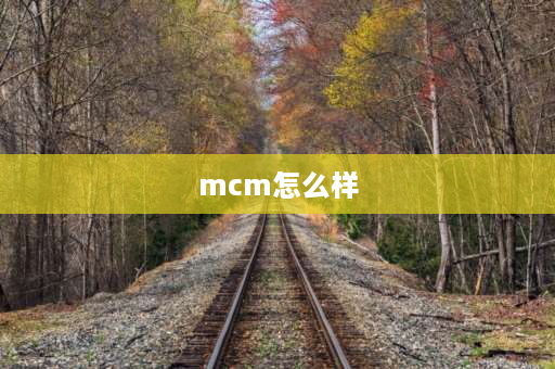 mcm怎么样 mcm真伪辨别？