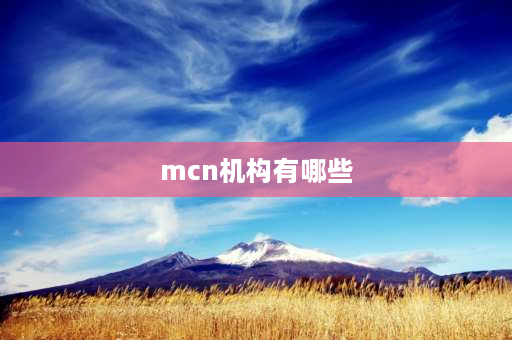 mcn机构有哪些 mcn机构是什么意思通俗点来解释下？