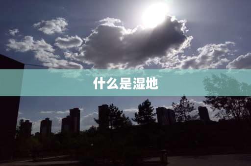 什么是湿地 什么是湿地？