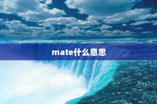 mate什么意思 guy和mate区别？