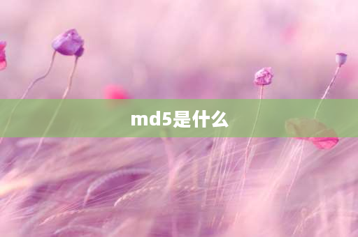 md5是什么 文件MD5是什么？