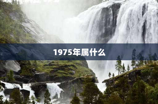 1975年属什么 1975年出生是庚寅虎吗？