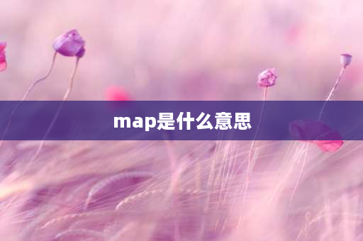 map是什么意思 MAP是什么缩写？