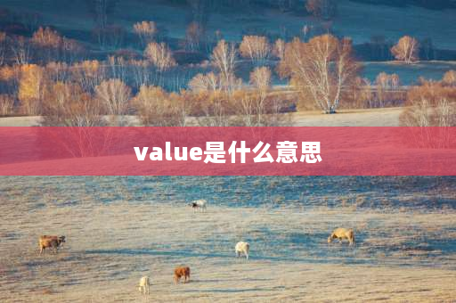 value是什么意思 excel出现value是什么意思？