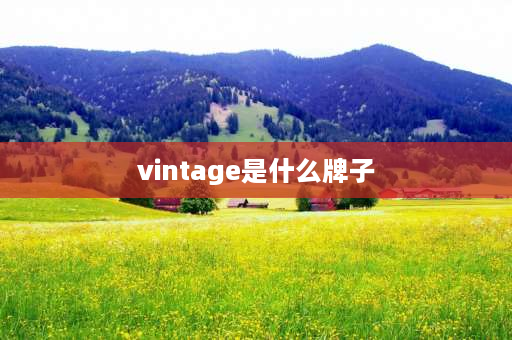 vintage是什么牌子 vintage是什么衣服牌子啊？