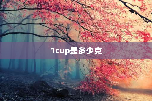 1cup是多少克 1cup等于多少毫升？