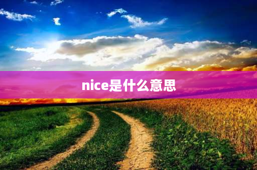 nice是什么意思 Nice是什么意思？