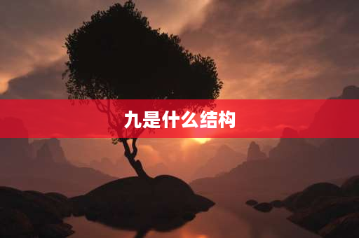 九是什么结构 号的结构是什么？