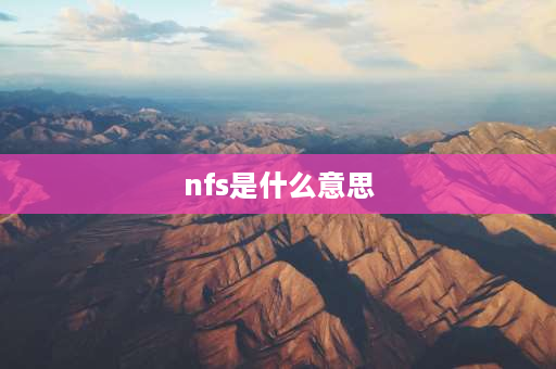 nfs是什么意思 nfs挂载umount失败，有没有人知道这个是什么意思？